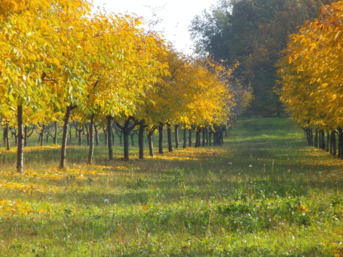 Alloggio Cantalupo Formigine Bagian luar foto