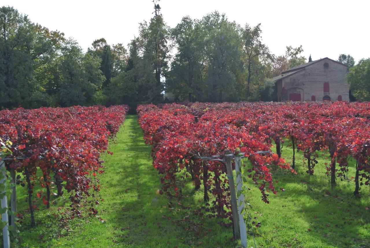 Alloggio Cantalupo Formigine Bagian luar foto